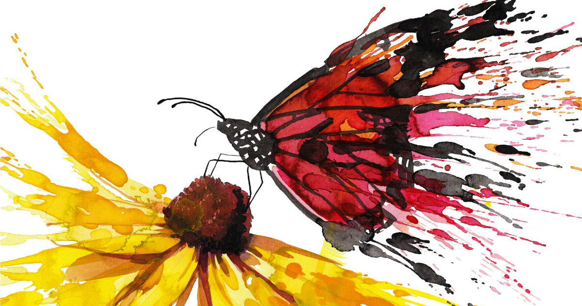 Distraction Conundrum