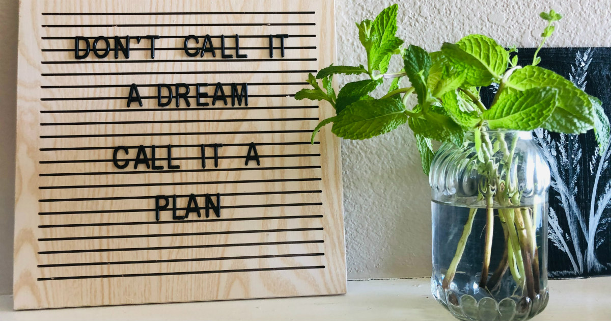 Hedgehog For The Win!